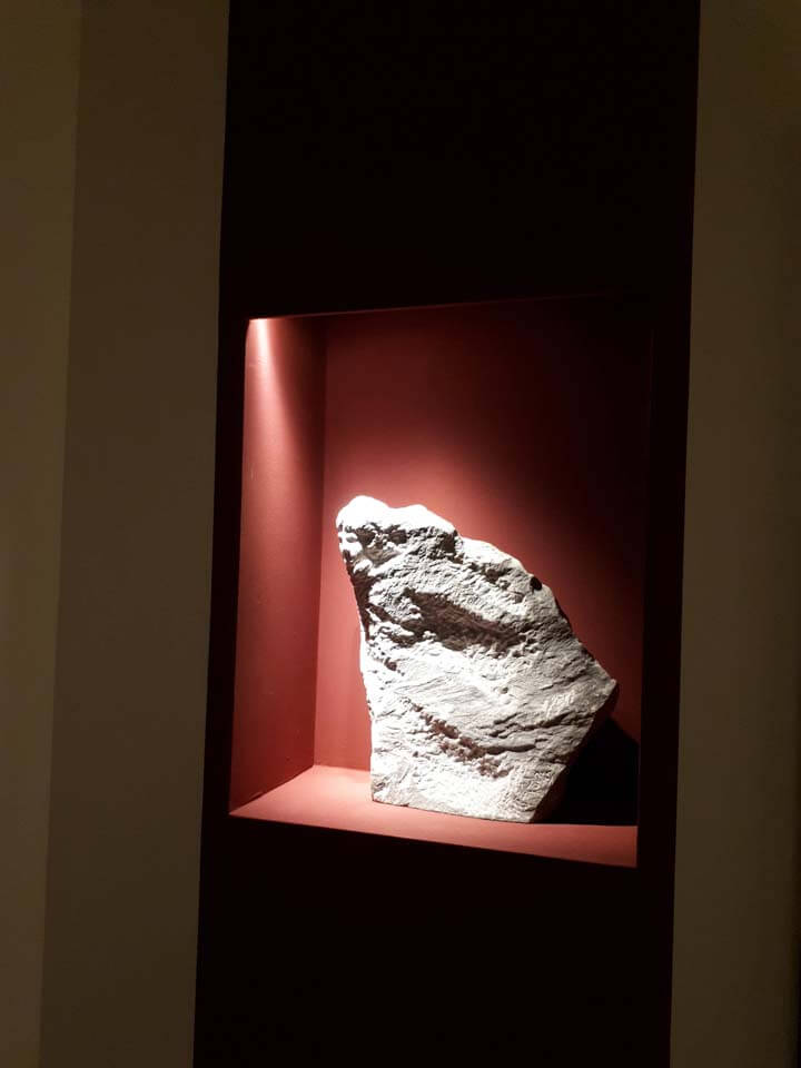 Milano, residenza privata 5